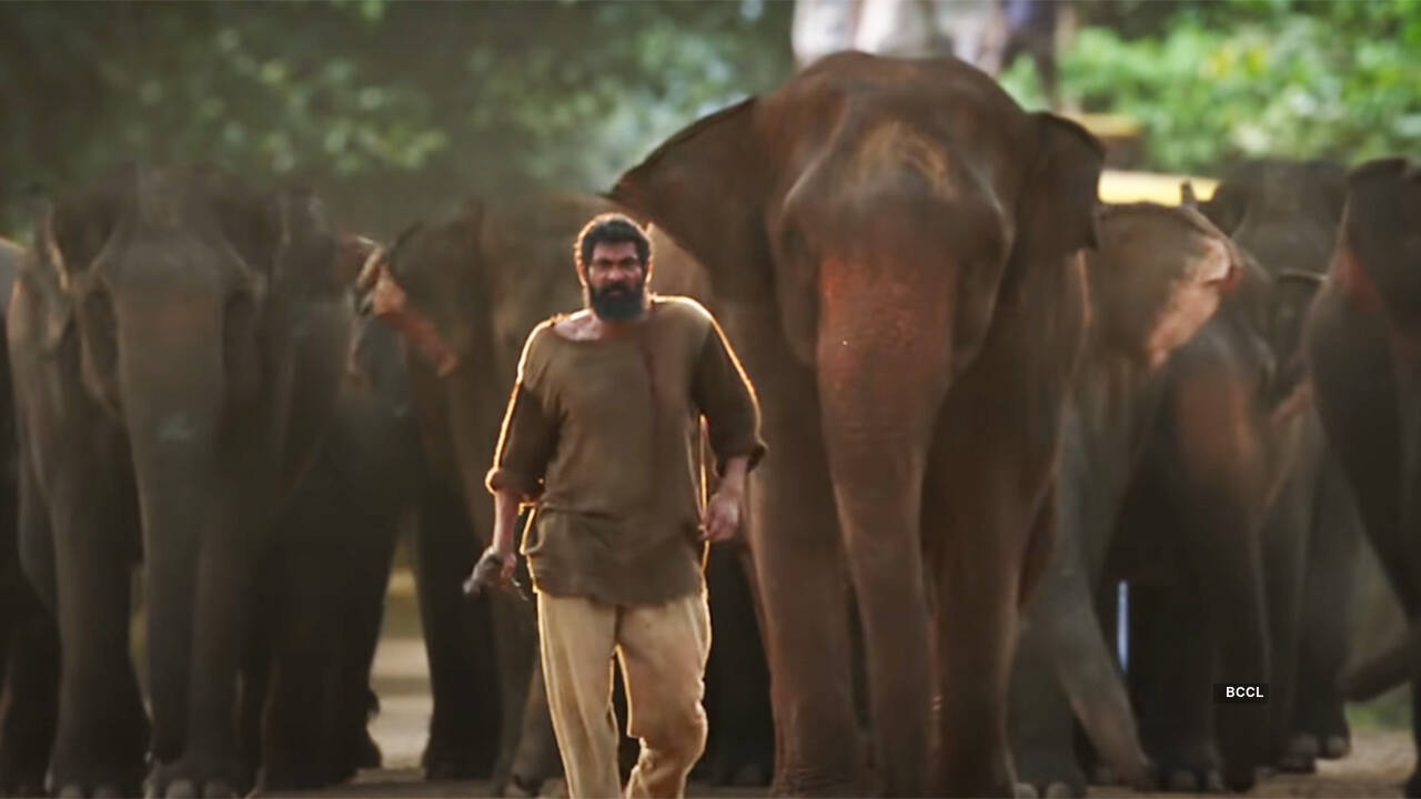 Haathi-Mere-Saathidb