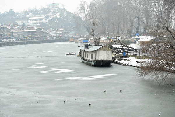 Kashmir valley receives fresh snowfall