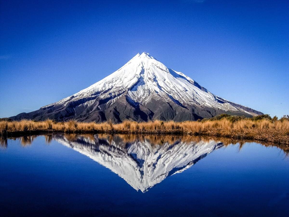 New Zealand is likely to remain shut for most of 2021 New Zealand is likely to remain shut for most of 2021