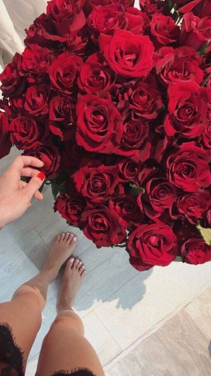 Rose day: The Day of Love | Times of India