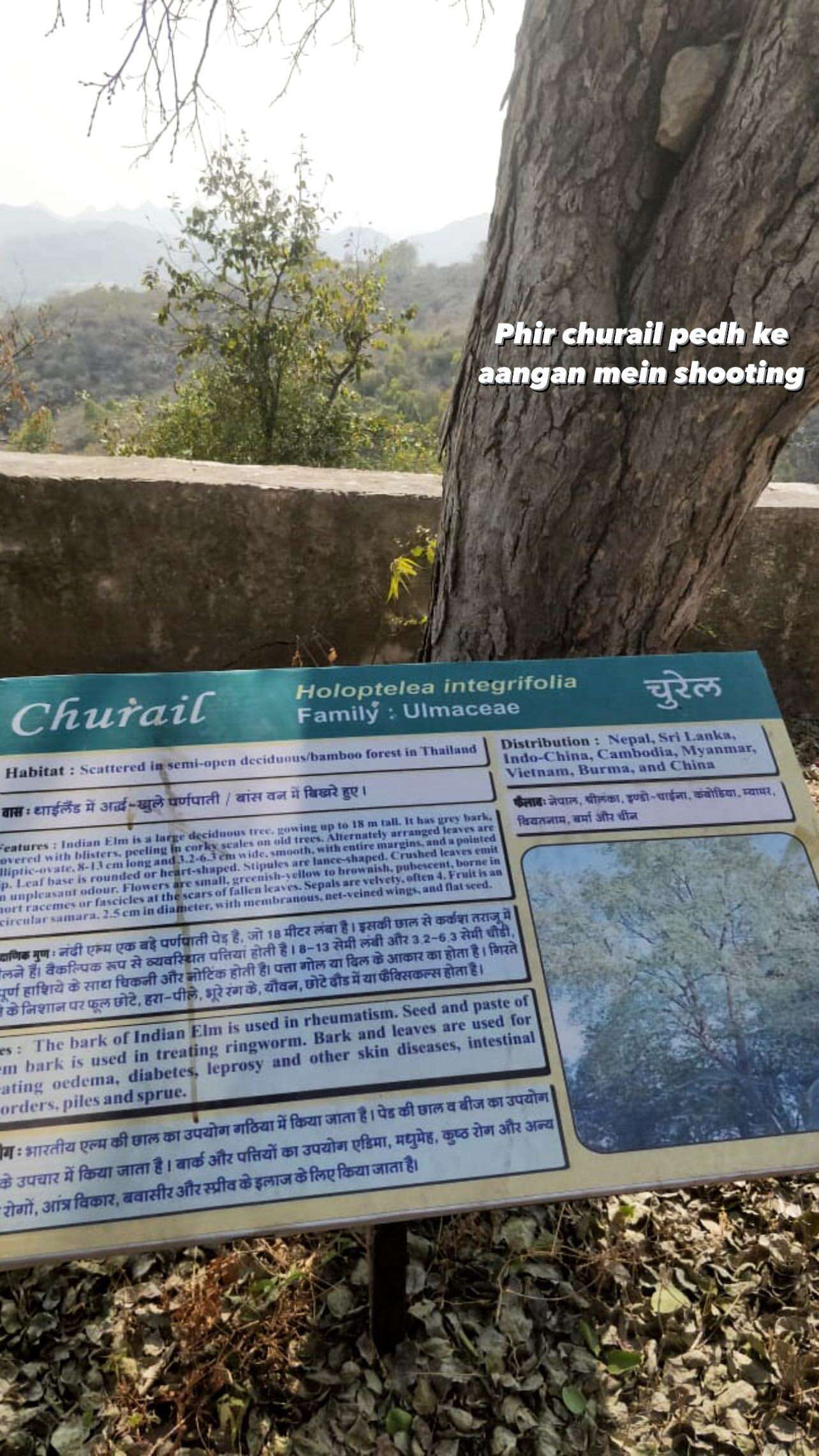 Ishaan Khatter Instagram