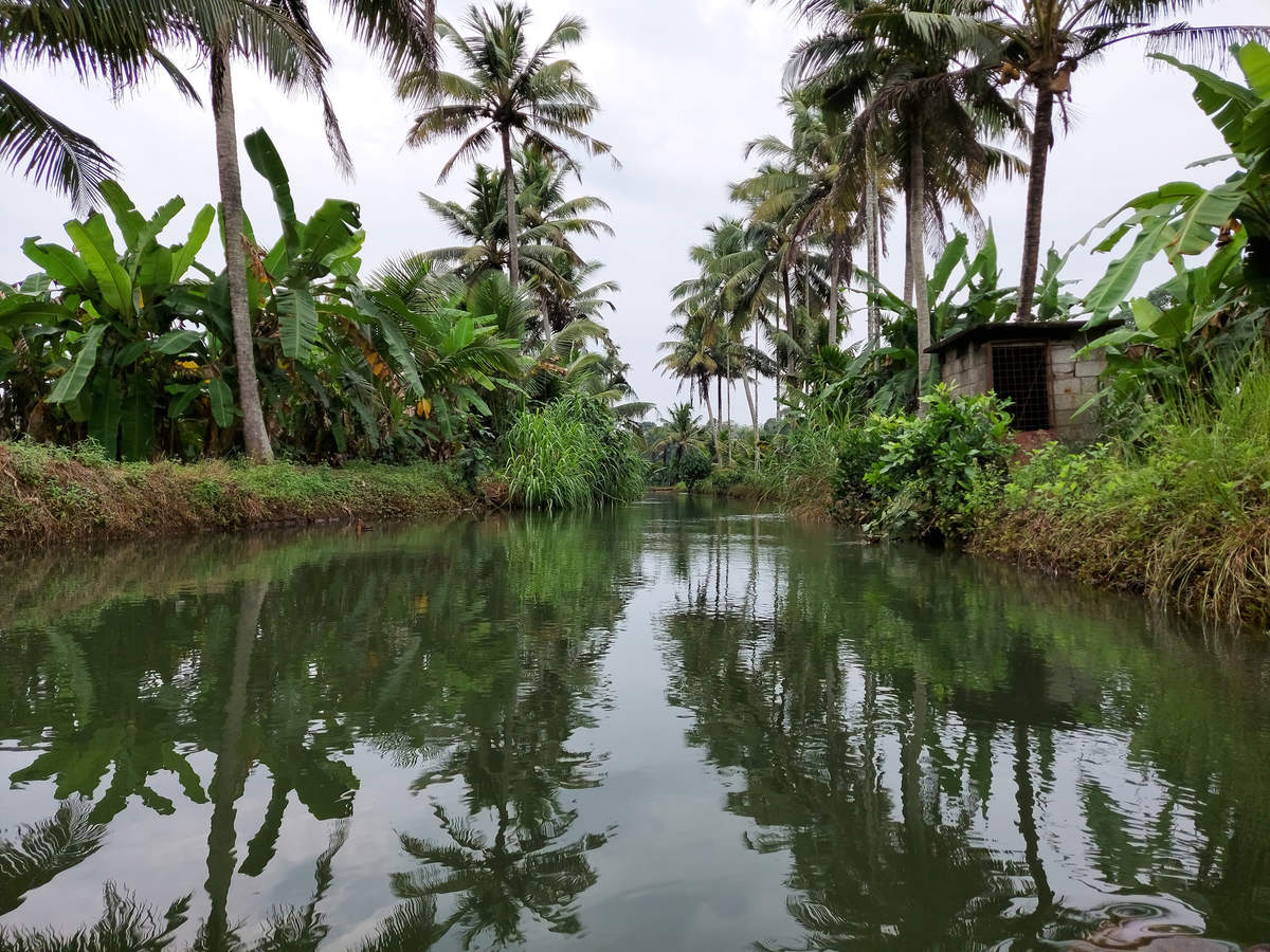 You can soon enjoy this alluring river cruise in Kerala’s Malabar region You can soon enjoy this alluring river cruise in Kerala’s Malabar region
