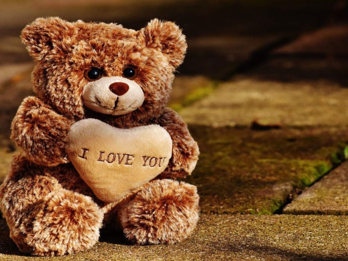 Teddy bear boyfriend quotes