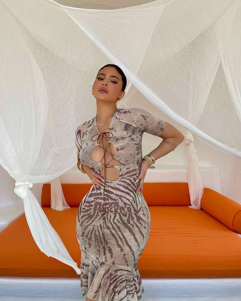 Viral photos of Kylie Jenner, 'The Youngest Self-Made Billionaire Ever'