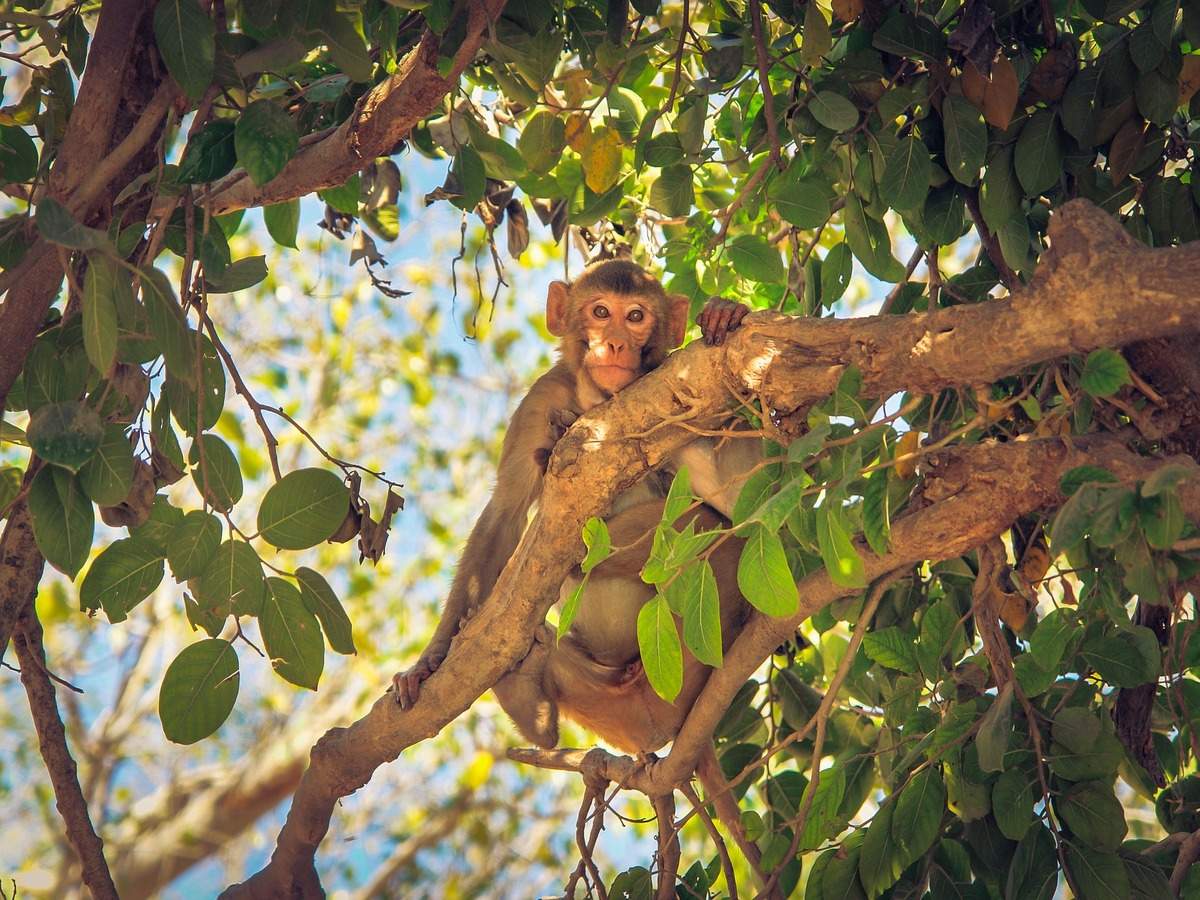 Mumbai’s Byculla Zoo to reopen soon Mumbai’s Byculla Zoo to reopen soon