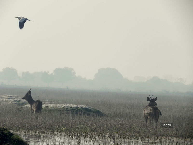 Travel to these 10 Lesser known monuments in India