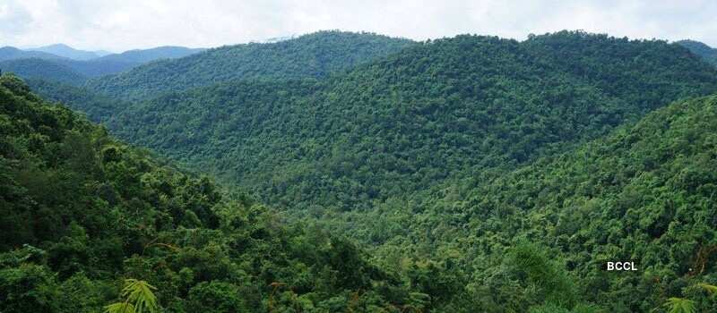 Places in Odisha that are perfect for every nature lover