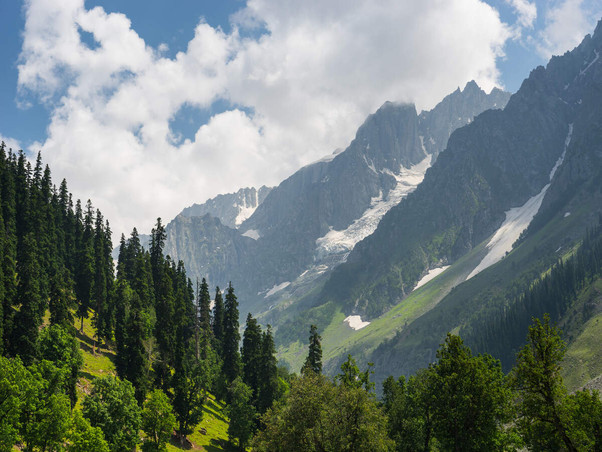 Train services restart in Kashmir after 11 months