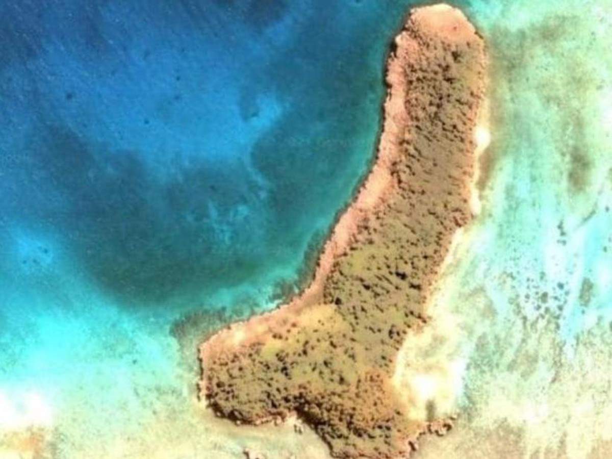A penis-shaped island discovered in the Pacific Ocean