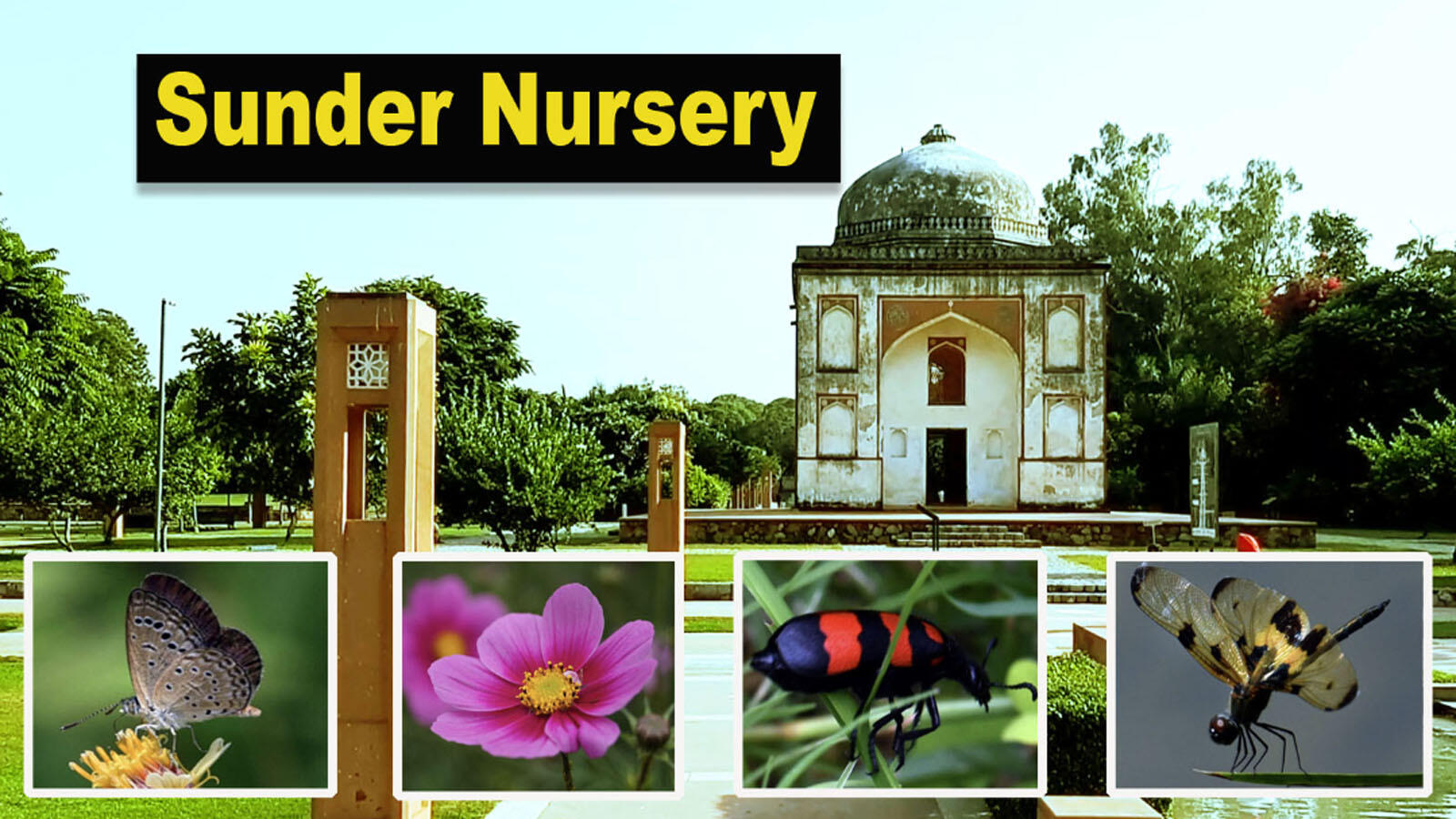 Delhi: UNESCO award winning Sunder Nursery is a paradise for nature lovers