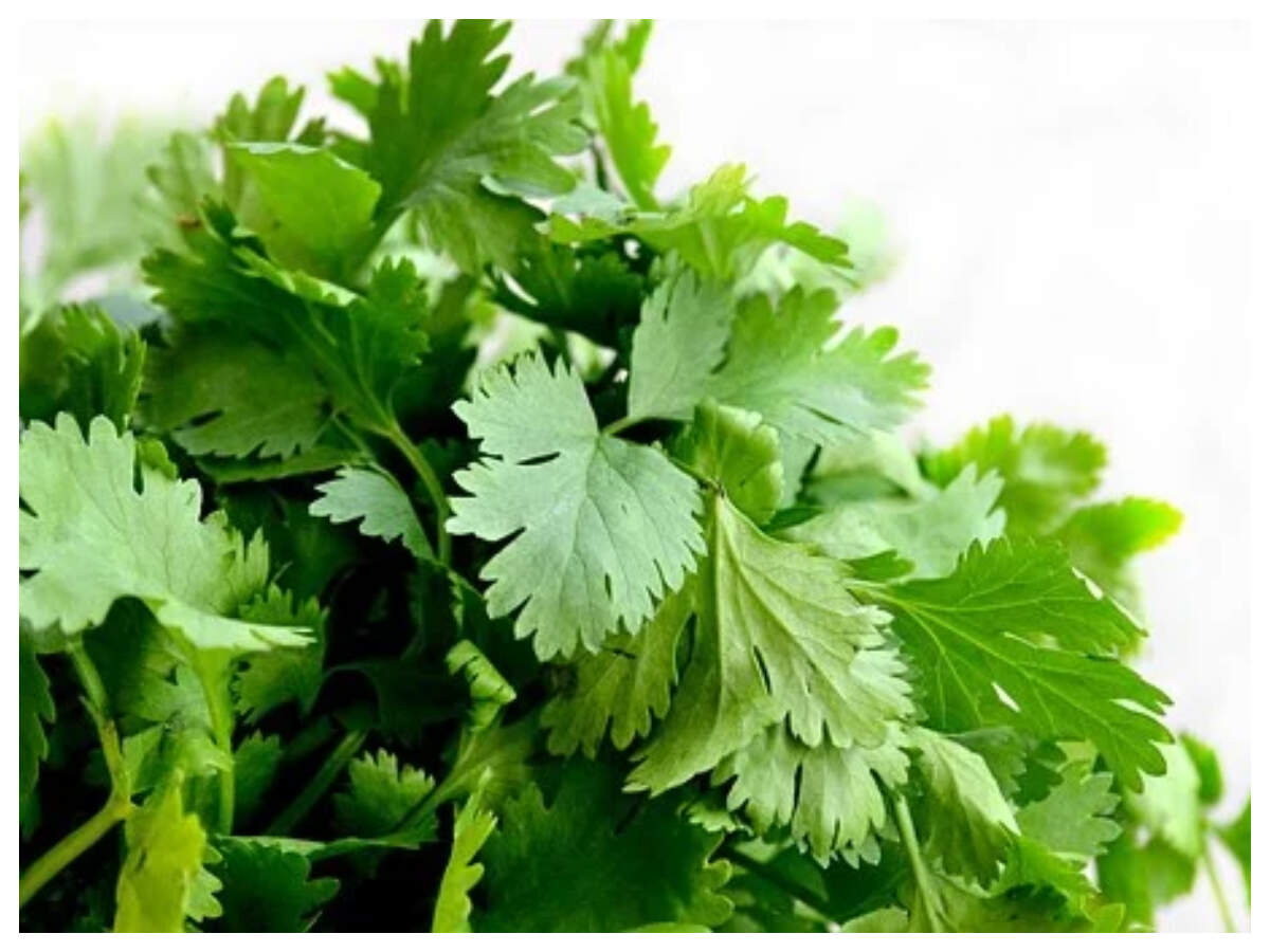 Watch How to cut & store Coriander & Mint Leaves Times Food