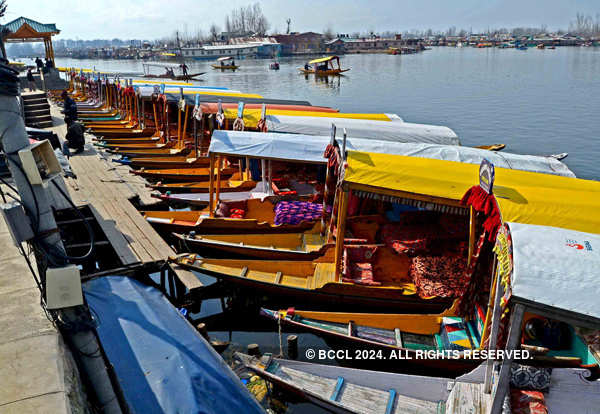Tourism revives in Kashmir Valley