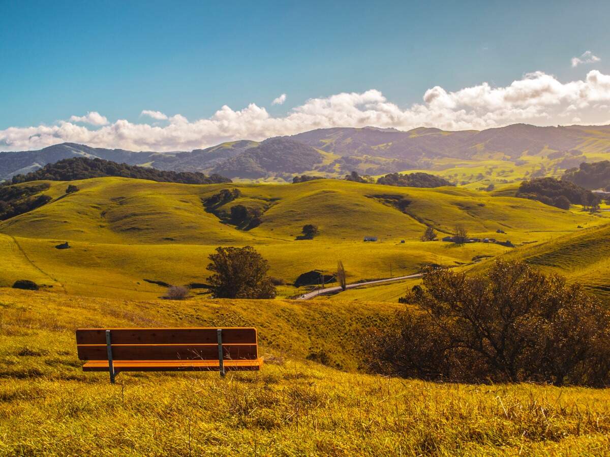 A city in California bans the construction of new gas stations A city in California bans the construction of new gas stations