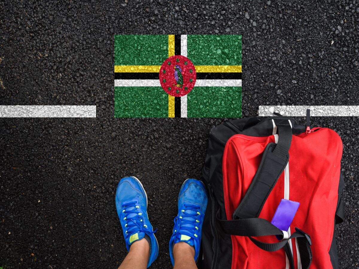 Dominica is offering 18-month visa to remote workers Dominica is offering 18-month visa to remote workers