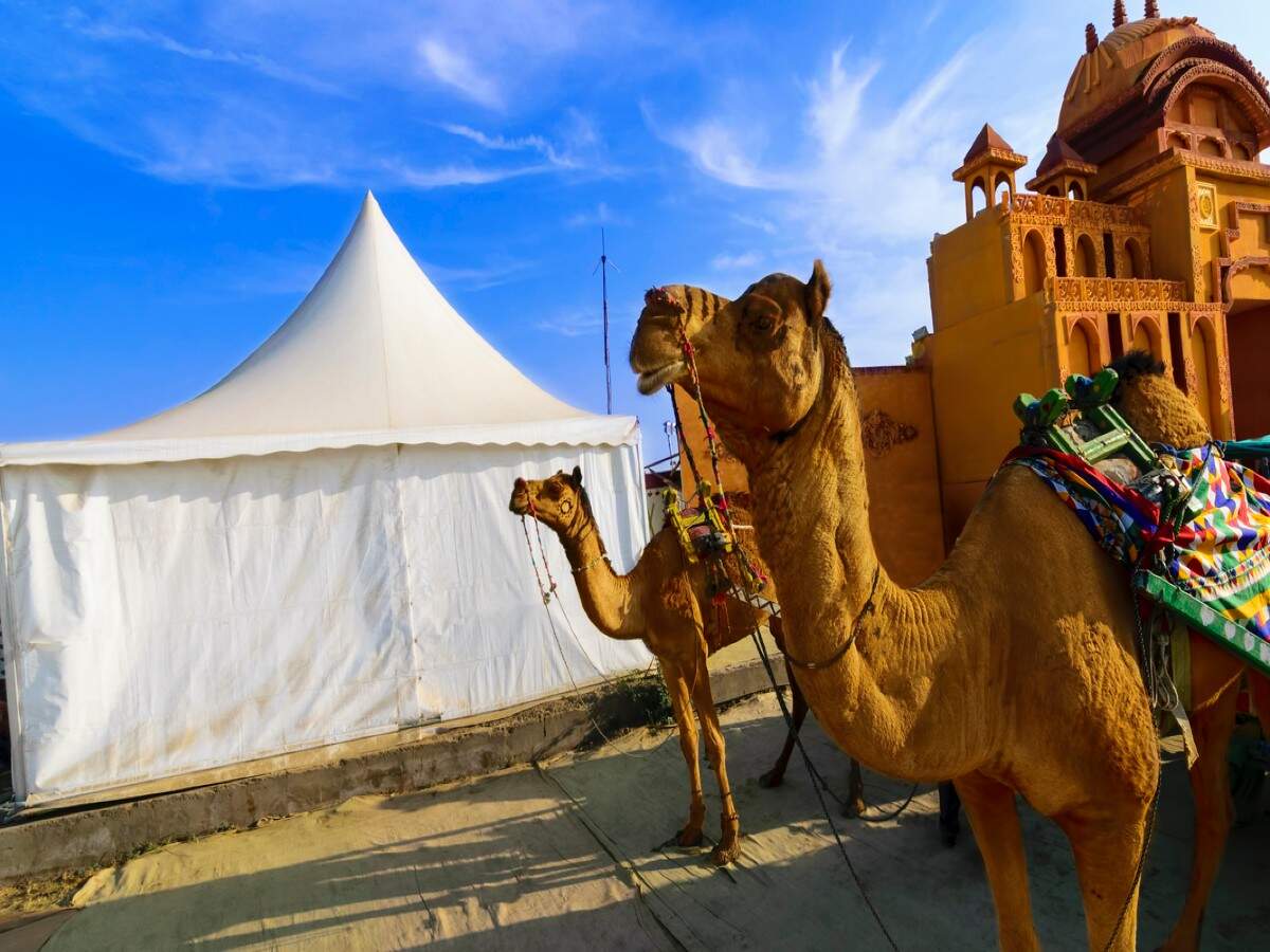 Gujarat’s Rann Utsav records lowest tourist footfall due to COVID-19 Gujarat’s Rann Utsav records lowest tourist footfall due to COVID-19