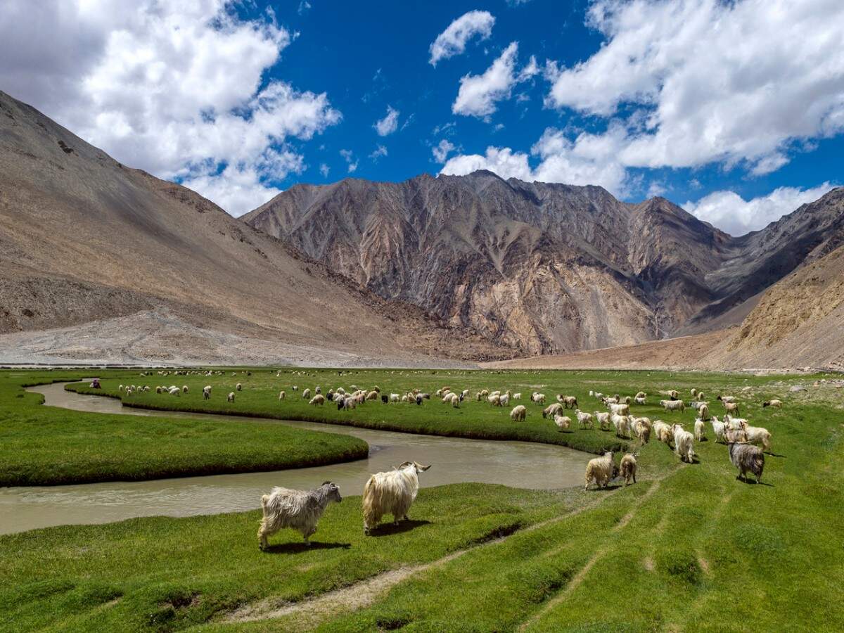 J&K to introduce new trekking routes in prominent wildlife regions J&K to introduce new trekking routes in prominent wildlife regions