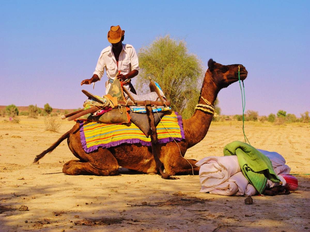 Rajasthan government to train 6000 new tourist guides, Rajasthan - Times of  India Travel