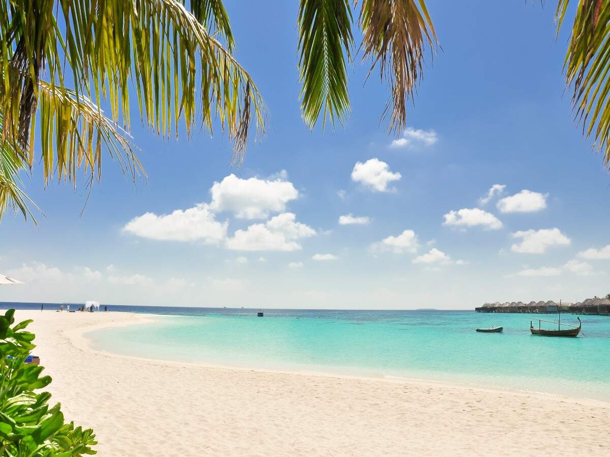 ‘Live it’, a six-week trip in St Lucia, Carribean ‘Live it’, a six-week trip in St Lucia, Carribean