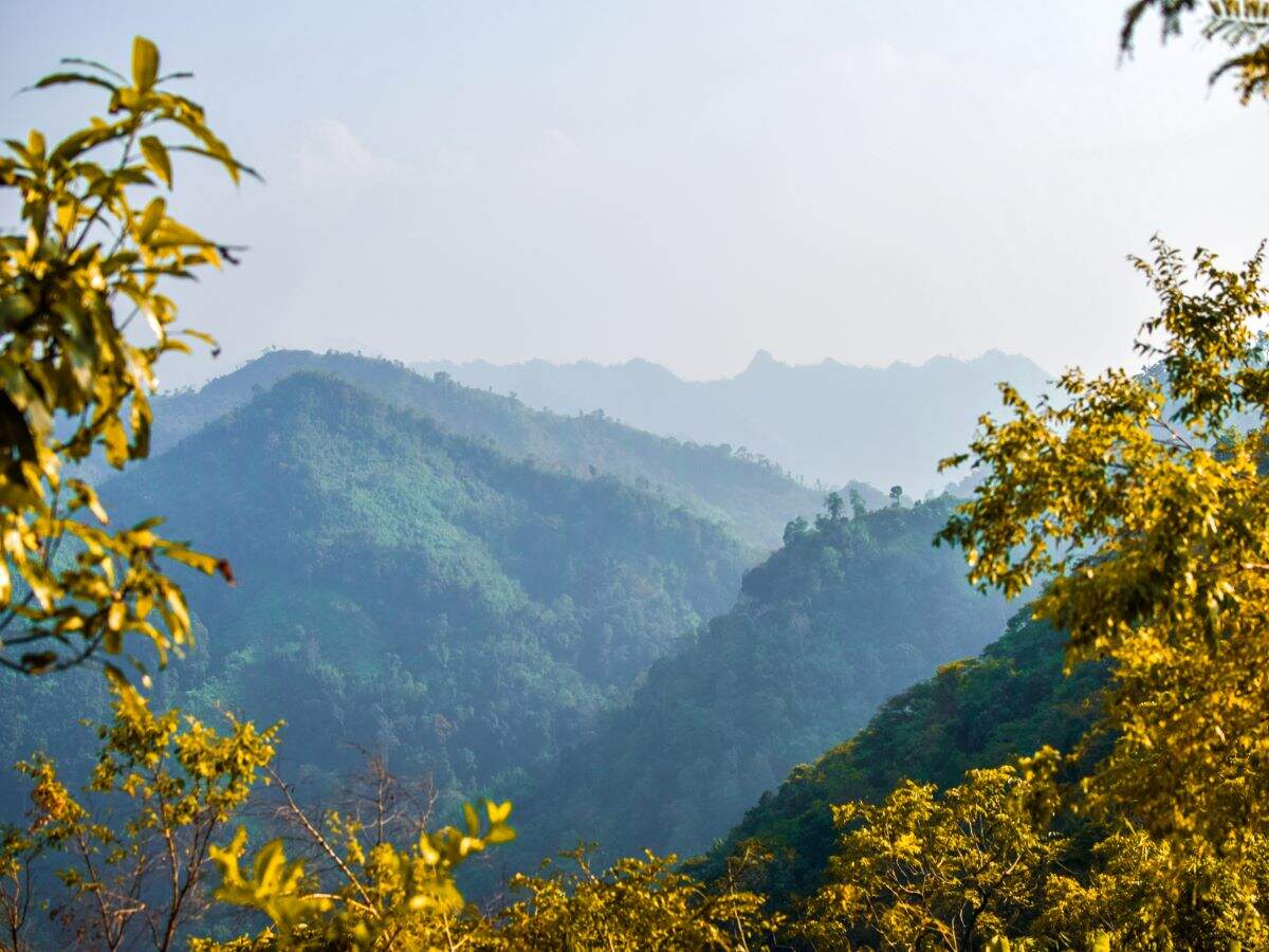 Nilgiris to stay closed for visitors till April 30 Nilgiris to stay closed for visitors till April 30