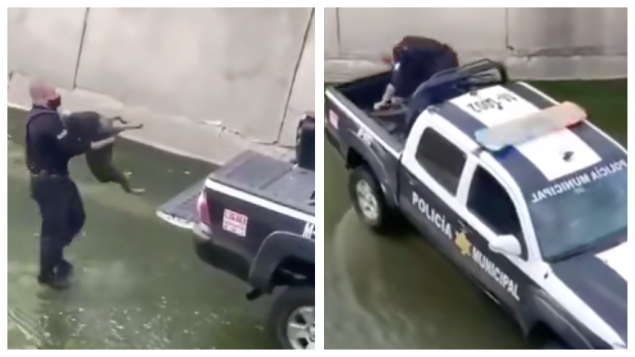Watch: Officer rescues dog from storm drain
