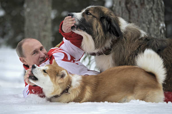 These pictures show the versatile personality of Russian President Vladimir Putin