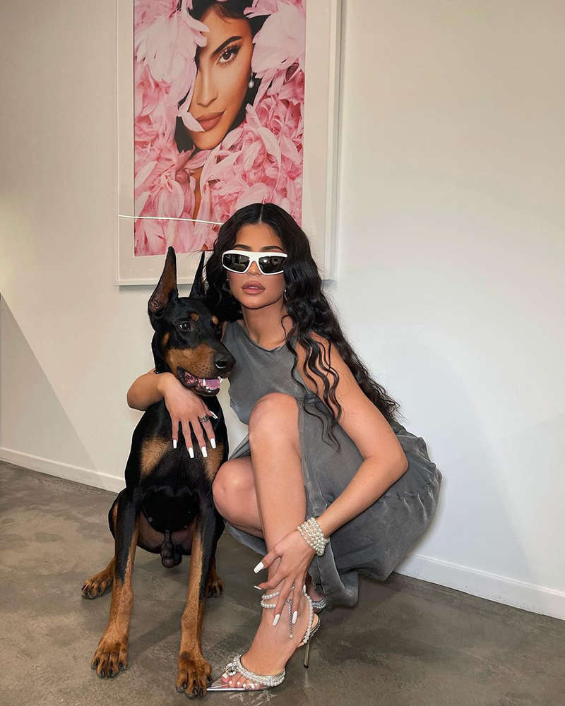 Viral photos of Kylie Jenner, 'The Youngest Self-Made Billionaire Ever'