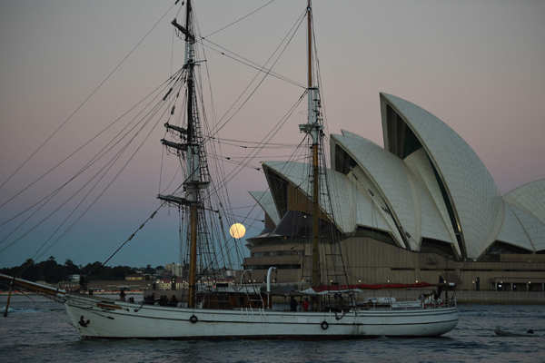 Spectacular pictures of "Super Blood Moon" go viral