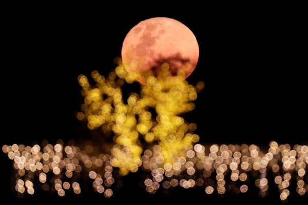 Spectacular pictures of "Super Blood Moon" go viral