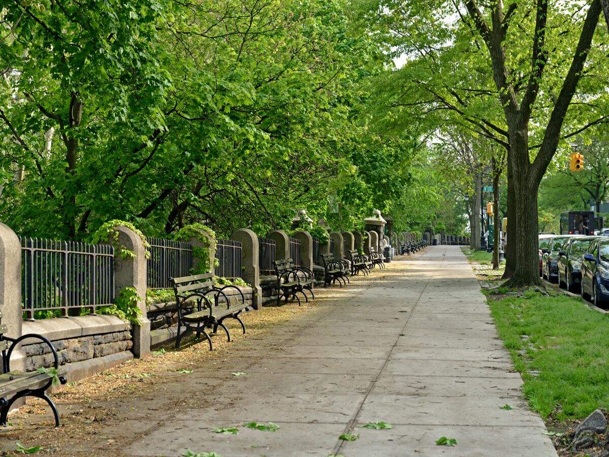 New York is giving free state park pass, Knicks tickets to those getting vaccinated this week New York is giving free state park pass, Knicks tickets to those getting vaccinated this week