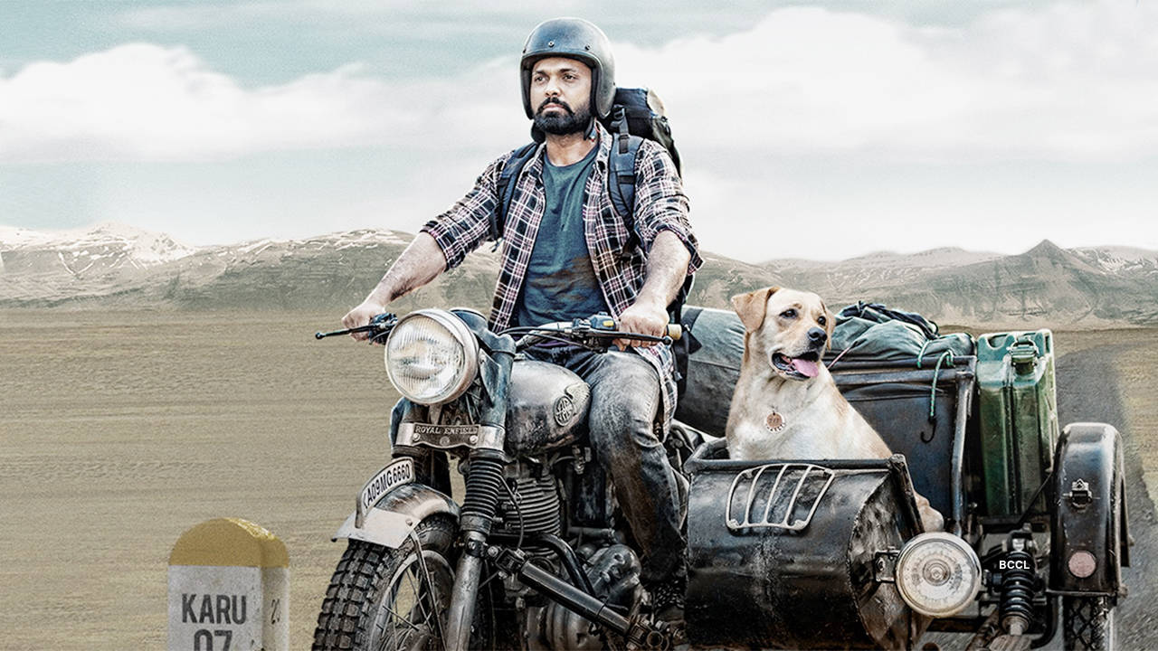 777 Charlie Movie Review: Rakshit Shetty's film is an endearing ...