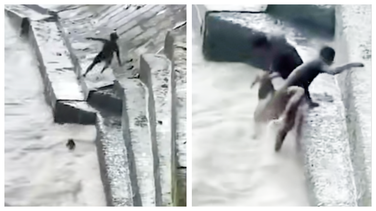 Watch: Man risks life, saves calf from drowning