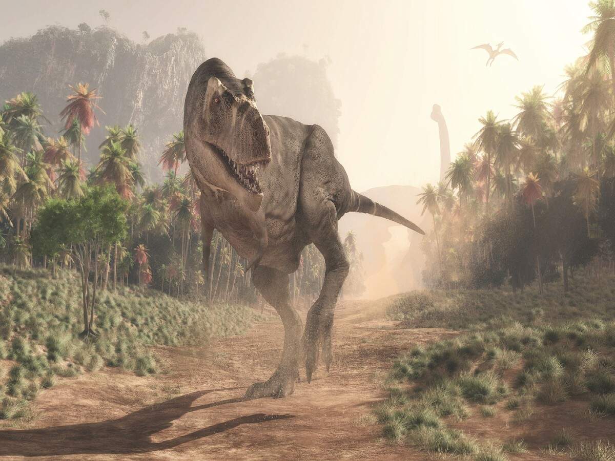 Orlando’s Universal has a new roller coaster and it is dedicated to Jurassic World! Orlando’s Universal has a new roller coaster and it is dedicated to Jurassic World!
