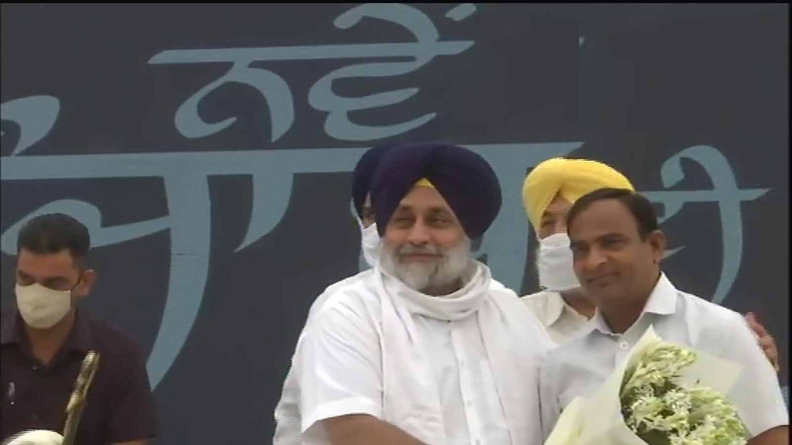 Akali Dal announces alliance with BSP for Punjab Assembly elections 2022