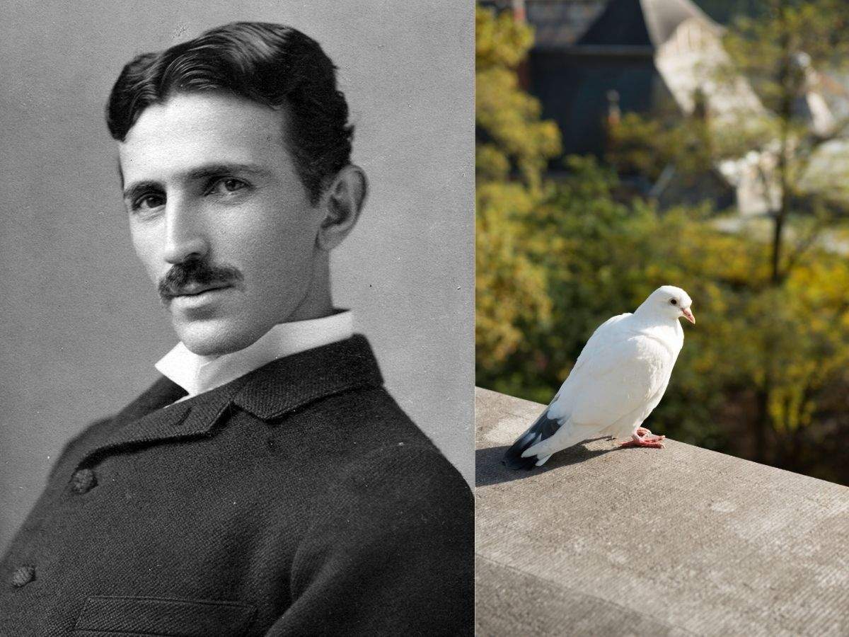 Nikola Tesla’s Love for Animals and Birds – Nature Blog Network