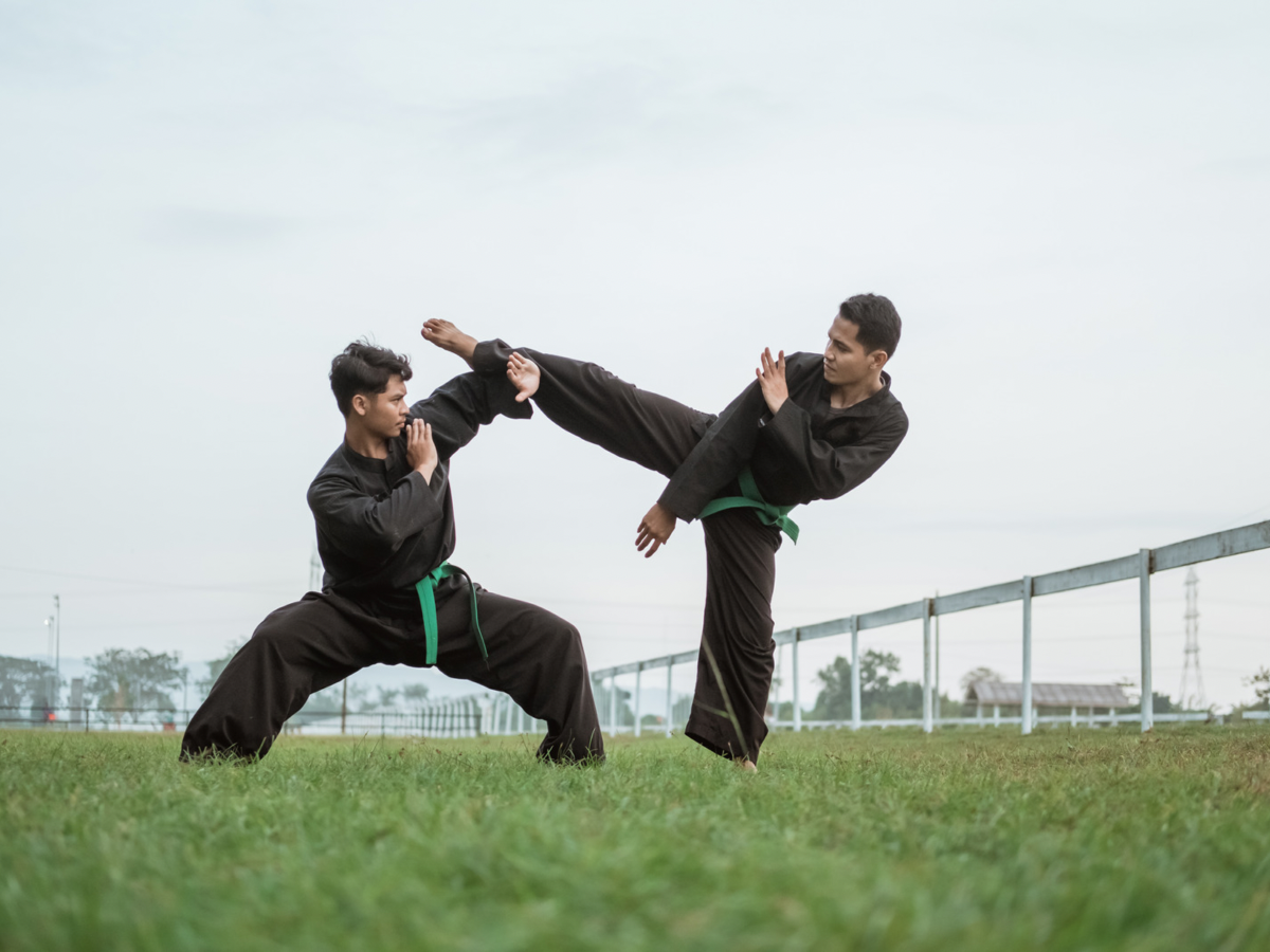 Health Benefits Of Martial Arts: Why is martial arts more than self  defence, 8 astonishing health facts about it.