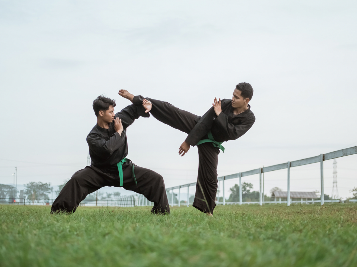 Health Benefits Of Martial Arts: Why is martial arts more than self