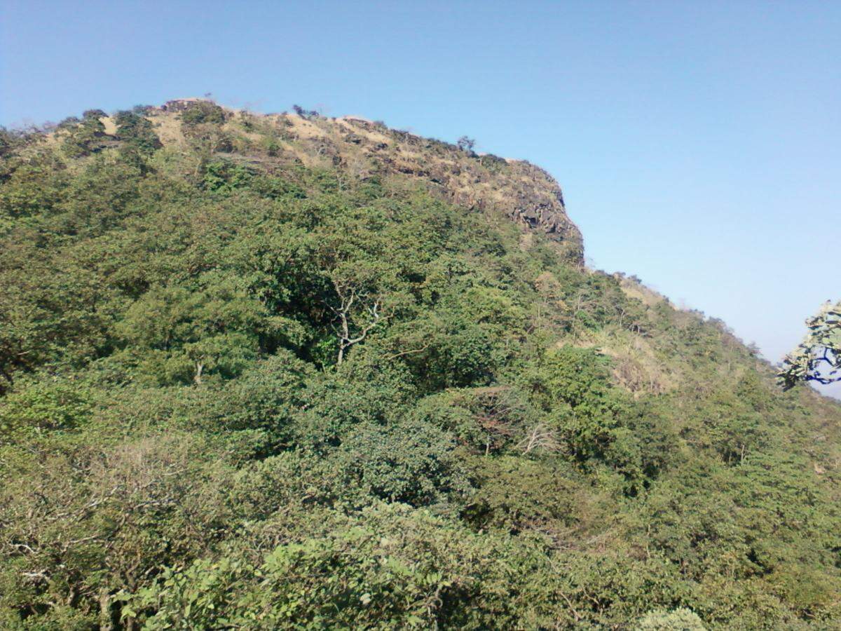 Watch as tourist flout covid rules and overcrowd the Asheri Fort in Maharashtra