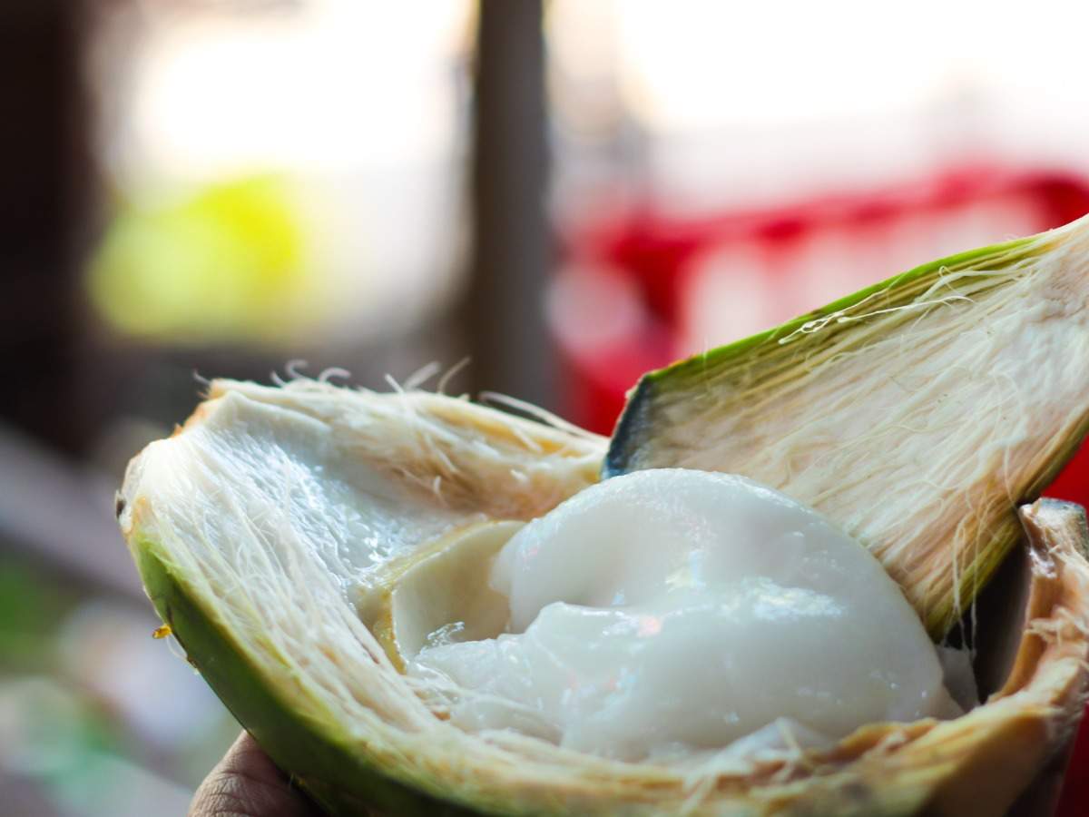 Here are 5 reasons why you should eat coconut malai this summer | The Times  of India