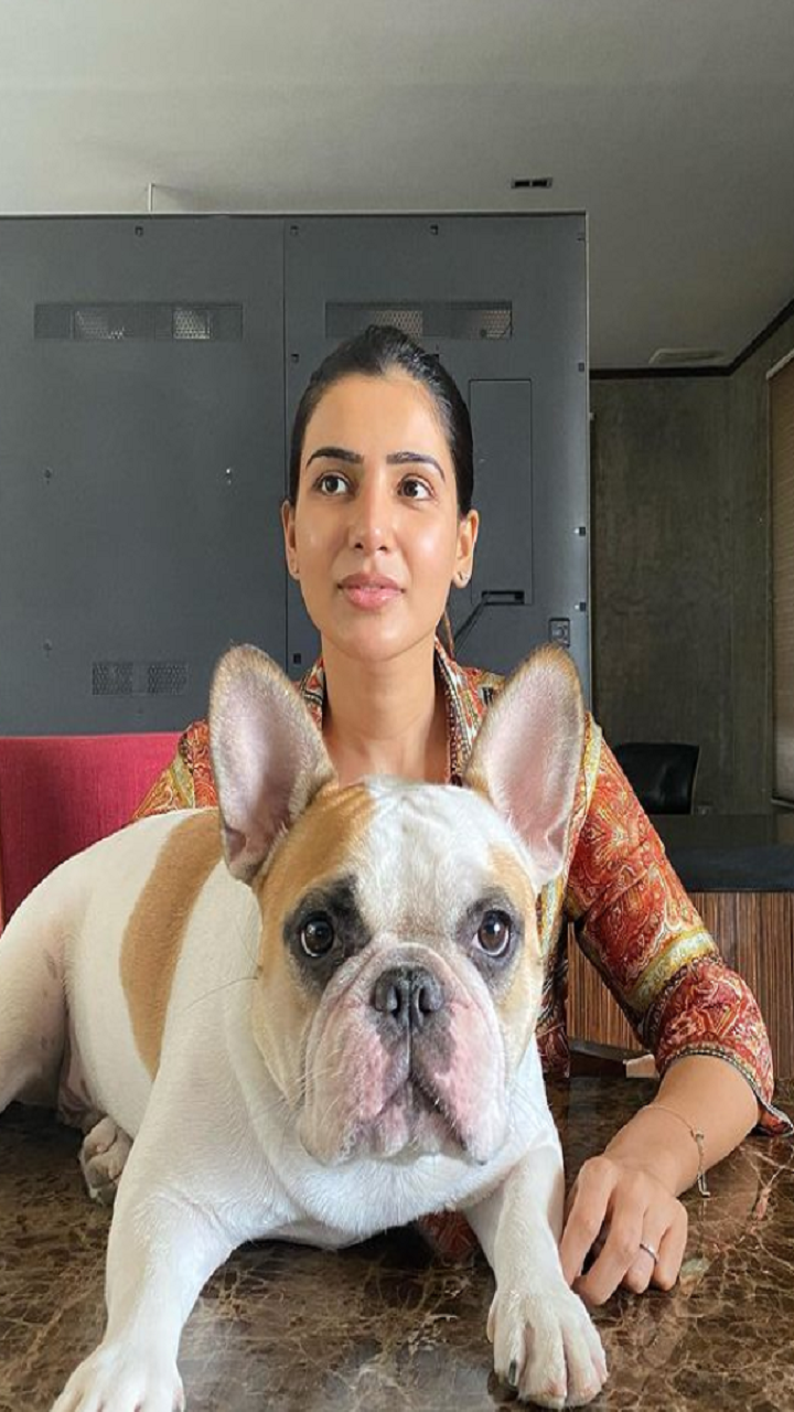 Samantha Akkineni has the cutest companion at work. Can you guess
