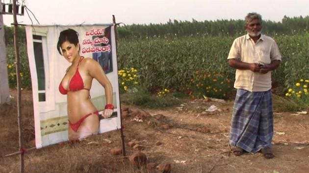 Sunny Leone: Did you know a farmer in Andhra Pradesh placed Sunny Leone's  bikini posters on his farm to protect his crops from the gaze of the  passerby?