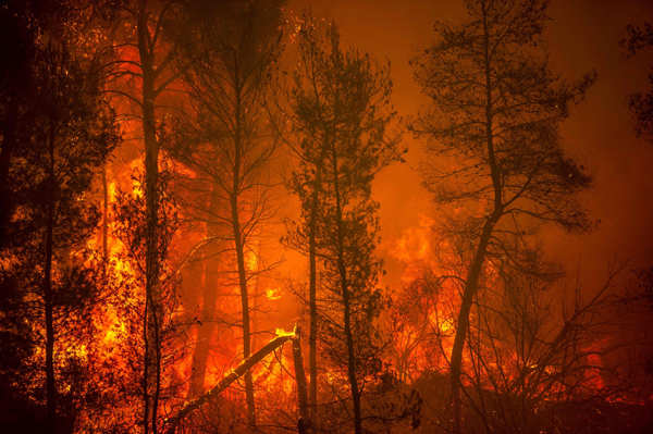 Harrowing pictures from Greece as wildfires engulf huge swathes of land