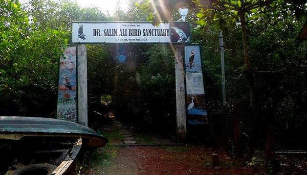 20 most magnificent bird sanctuaries in India for bird lovers