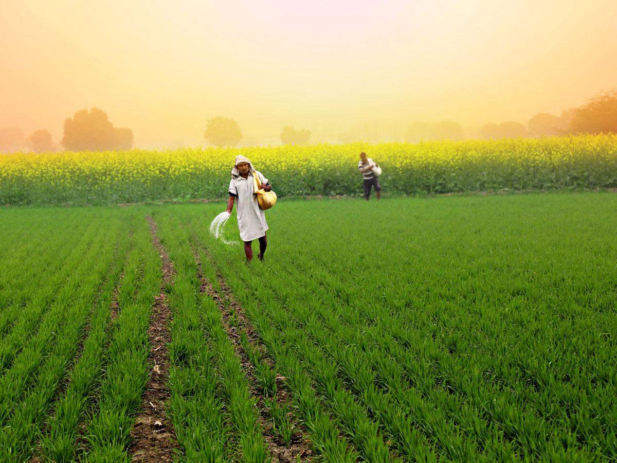 Maharashtra to revise school syllabus, plans to add farming, agronomy