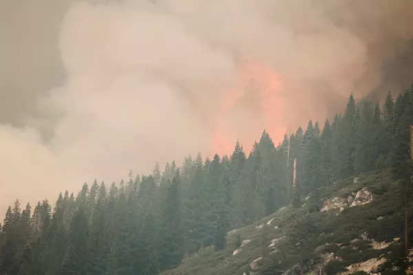 These pictures capture the intensity and severity of California wildfires