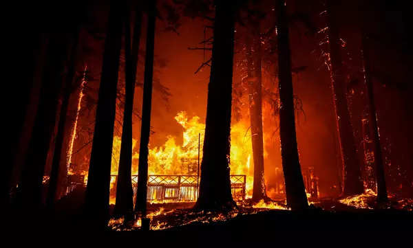 These pictures capture the intensity and severity of California wildfires