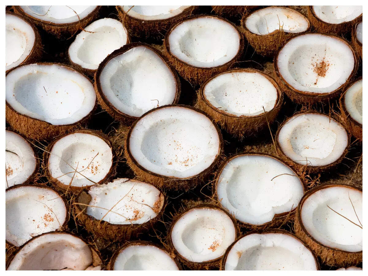 World Coconut Day Interesting facts about Coconut that you need to know