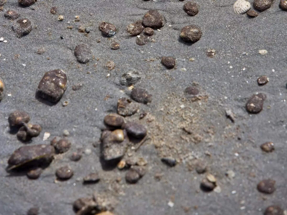 Goa beaches flooded with tarballs once again Goa beaches flooded with tarballs once again