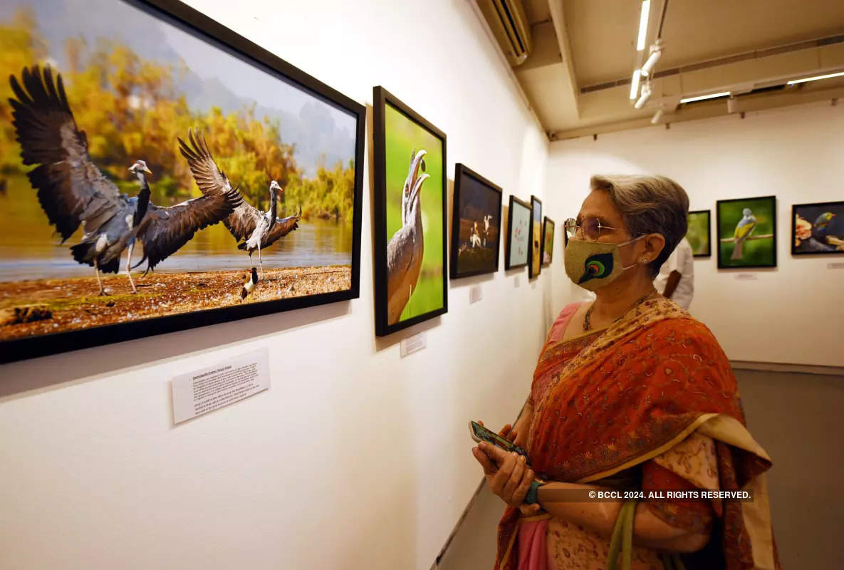 Shashi Dushyant organises a wildlife photography exhibition