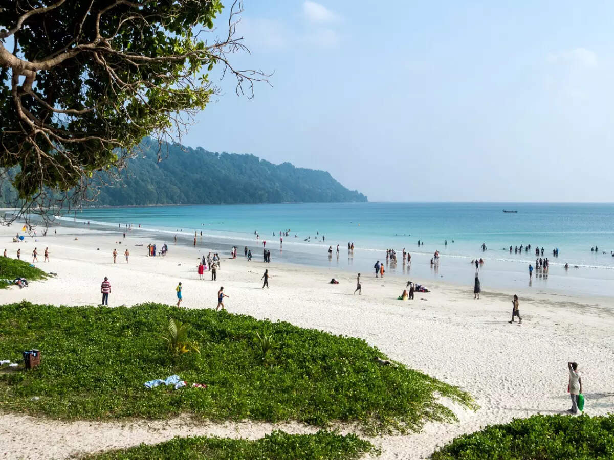 Andaman travel update: Fully vaccinated tourists do not need to carry PCR report Andaman travel update: Fully vaccinated tourists do not need to carry PCR report