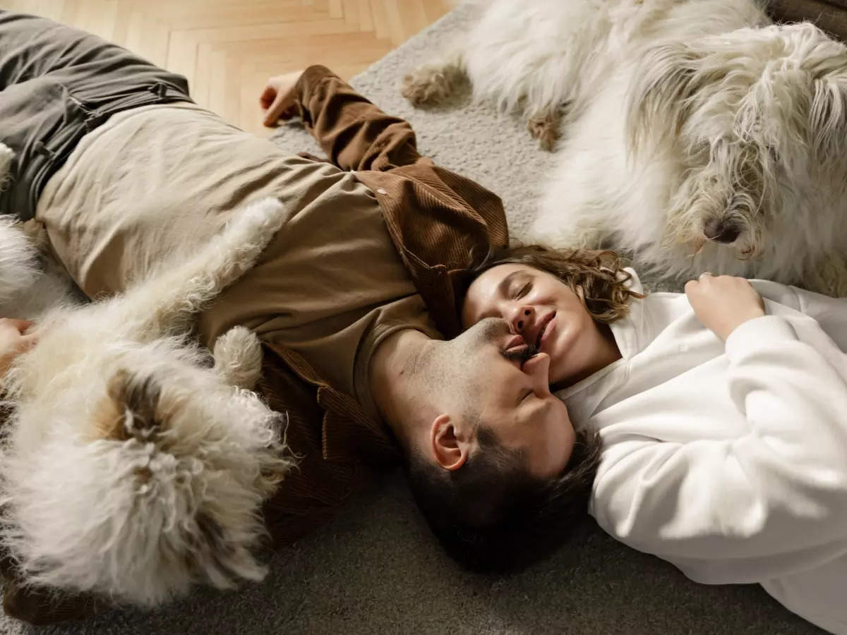 These zodiac signs love cuddling (and their cuddling style) | The Times ...